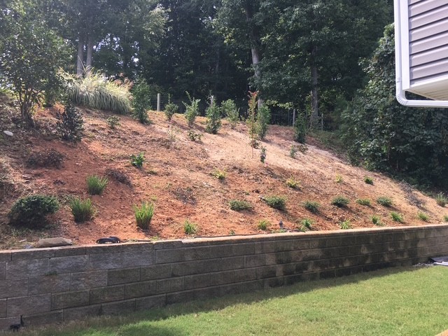 Before cleanup area by KEEN