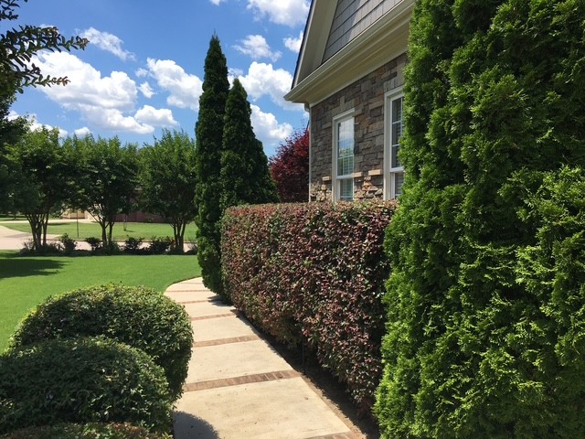 Grounds beautification project by KEEN