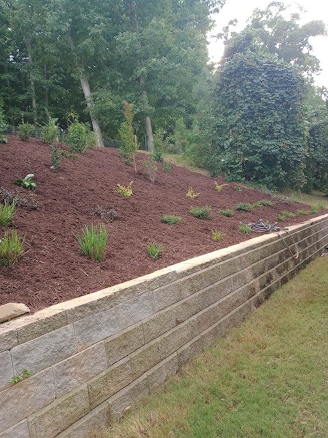 Finished retaining wall mulch beautification