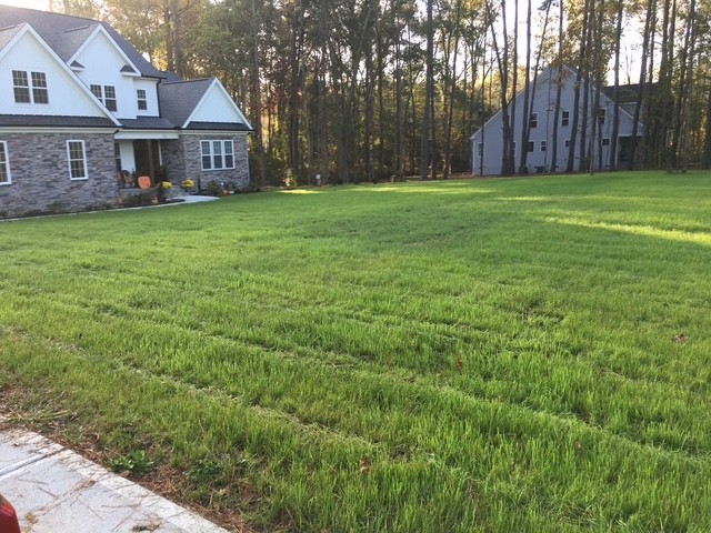 Front yard with clean lawn and landscape borders