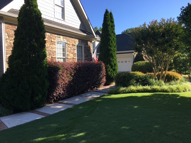 Well maintained lawn and front walkway by KEEN